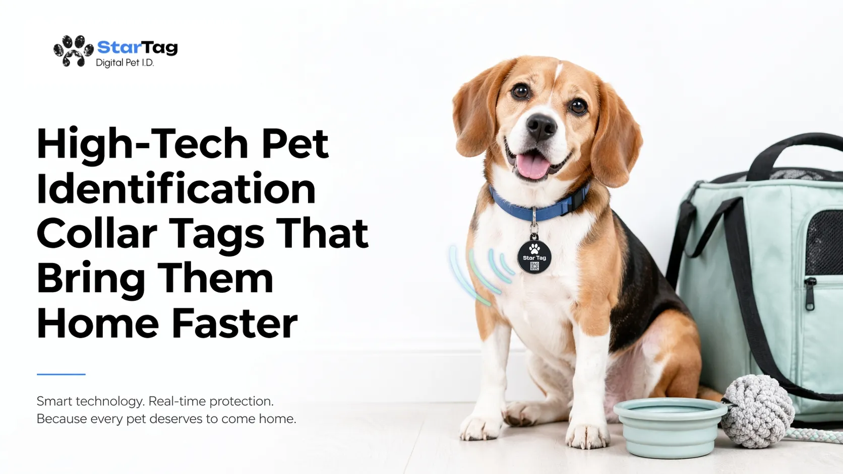 High-Tech Pet Identification Collar Tags That Bring Them Home Faster