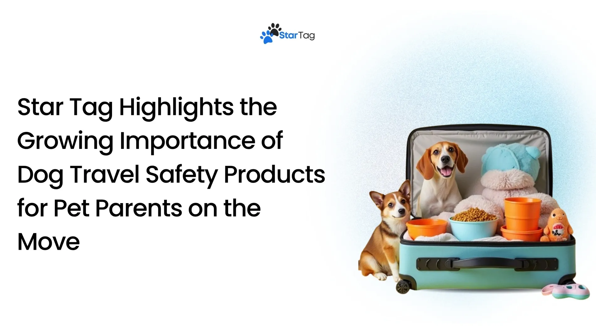 Star Tag Highlights the Growing Importance of Dog Travel Safety Products for Pet Parents on the Move