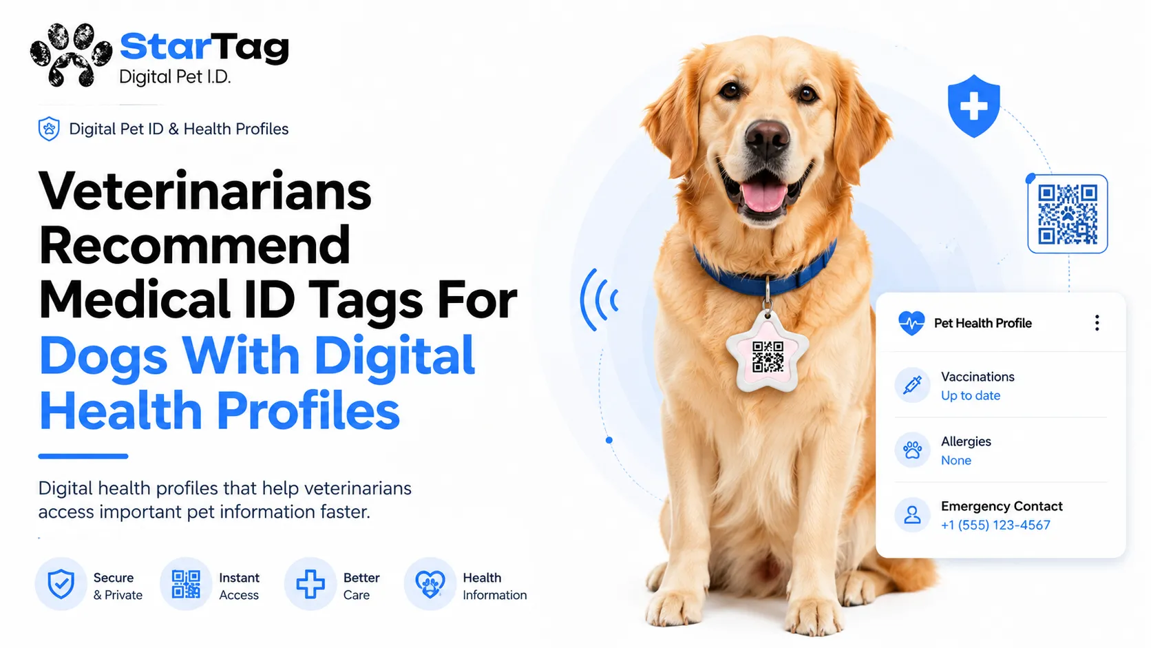 Veterinarians Recommend Medical ID Tags For Dogs With Digital Health Profiles