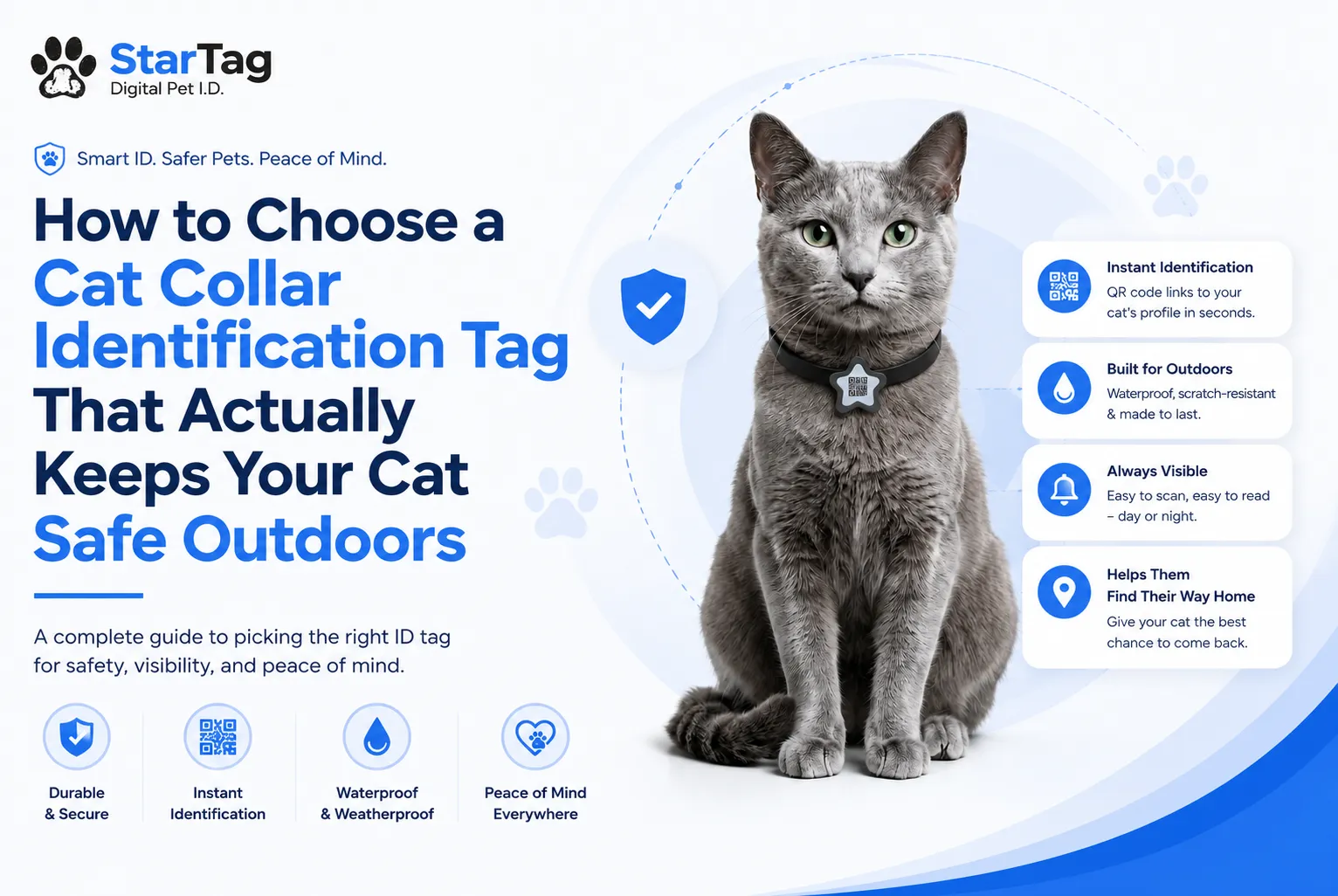 How to Choose a Cat Collar Identification Tag That Actually Keeps Your Cat Safe Outdoors
