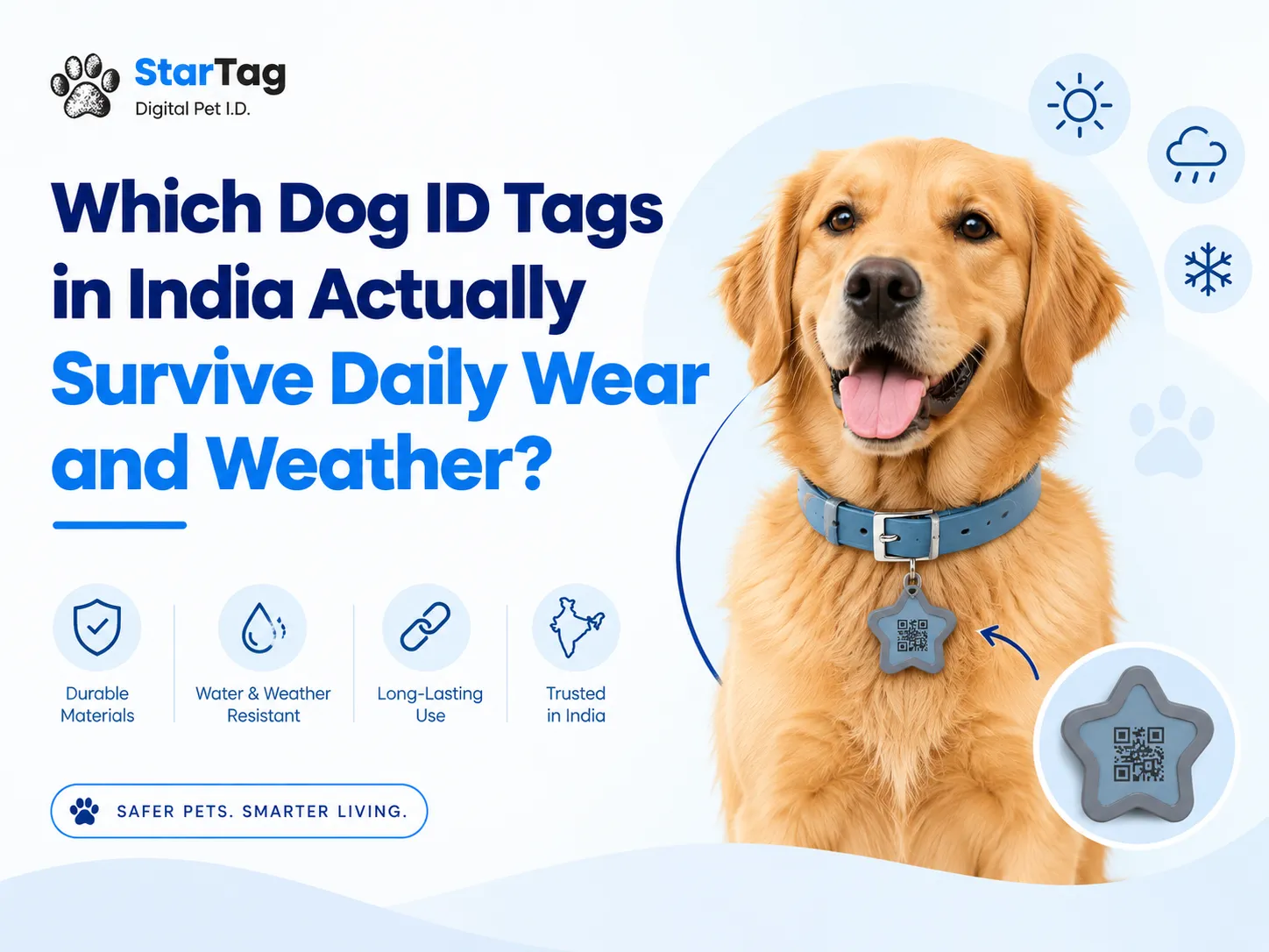Which Dog ID Tags in India Actually Survive Daily Wear and Weather
