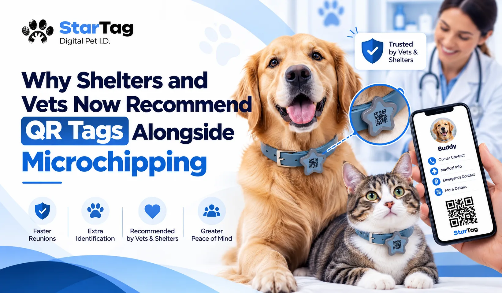 Why Shelters and Vets Now Recommend QR Tags Alongside Microchipping